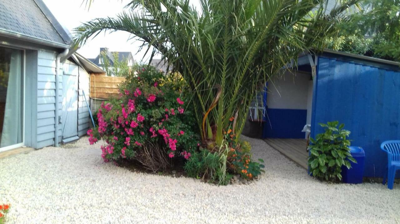 Le Petit Cottage Entre Village Et Mer Trelevern Exterior photo
