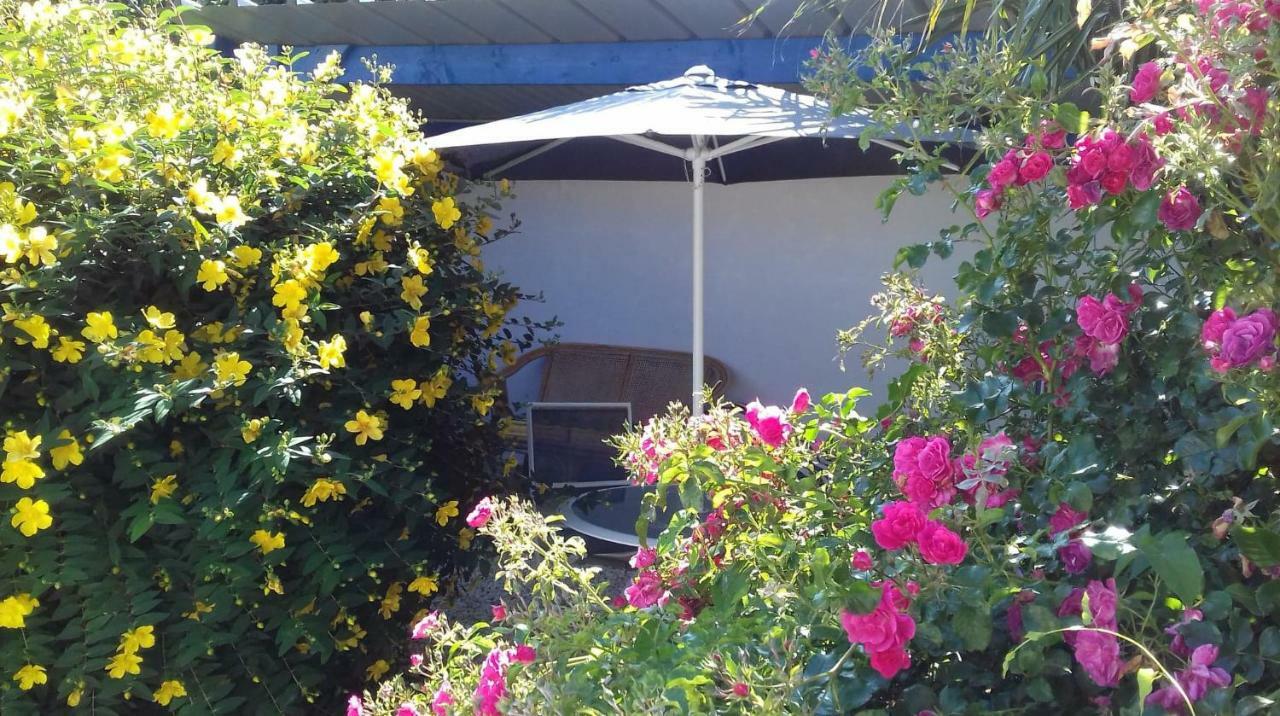 Le Petit Cottage Entre Village Et Mer Trelevern Exterior photo